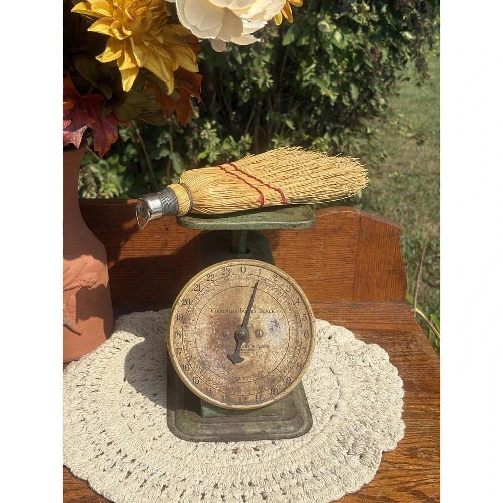 Vintage Green Columbia Family Scale 24 lbs Landers Frary & Clark USA Farm Decor